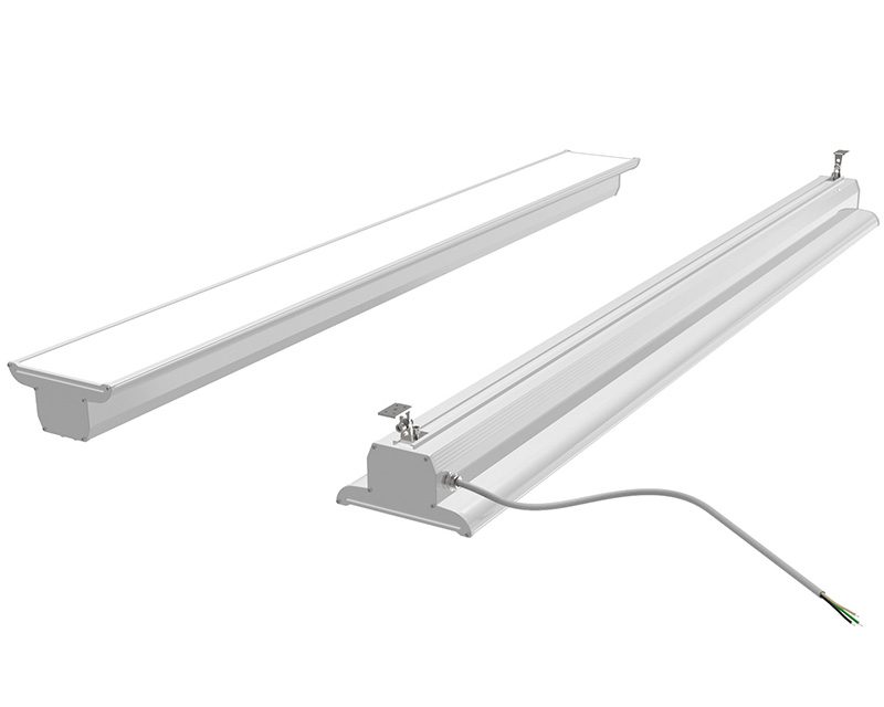 Why Light Timing Shapes Herd Health: A User-Centric Guide to Cow Lighting