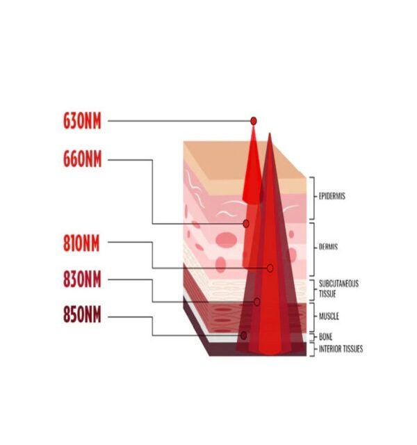 Why Reimagining the Red Light Therapy Manufacturer Sparks Sustainable Growth